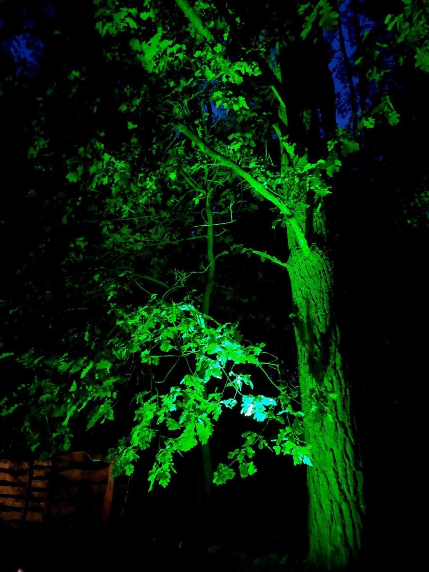 Saski Zakatek, Wakacje W Bajkowym Domku!!! Mazury, Sauna, Jezioro, Pomost, Sasek Maly Luaran gambar